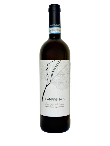 Pinot Grigio